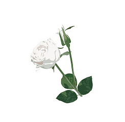 Decorative Rose